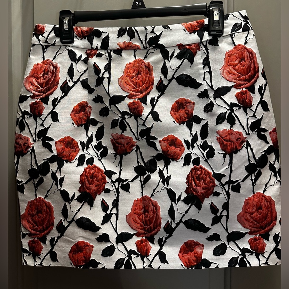 Asilio Size 8 (U.S.) Case of Roses Lined Skirt EUC
